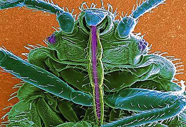 Xbox Series X|S和Xbox One更新发布 提升硬盘存储空间